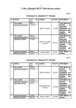 Referāts 'SIA "Jēkabpils rajona centrālā slimnīca"', 3.