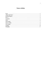 Referāts 'Mediju kanāls "Twitter"', 1.