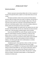 Referāts 'Mediju kanāls "Twitter"', 3.