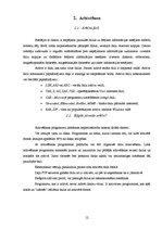 Referāts 'Datu aizsardzība pret vīrusiem un tārpiem. Arhivācija', 12.