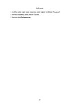 Referāts 'Datu aizsardzība pret vīrusiem un tārpiem. Arhivācija', 23.