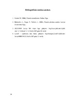 Referāts 'Finanšu analīze SIA "Jeld-wen Latvia"', 26.