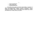 Referāts 'PAS "Grindex" finanšu risku analīze', 3.