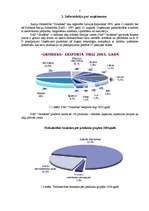 Referāts 'PAS "Grindex" finanšu risku analīze', 4.