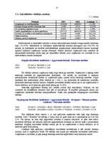 Referāts 'PAS "Grindex" finanšu risku analīze', 17.