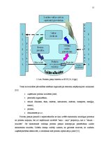 Diplomdarbs 'Ražošanas procesa analīze un pilnveide', 15.
