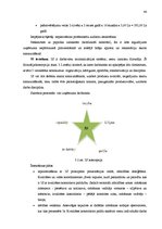Diplomdarbs 'Ražošanas procesa analīze un pilnveide', 44.