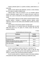 Diplomdarbs 'Ražošanas procesa analīze un pilnveide', 53.