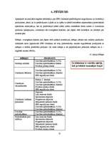 Referāts 'Piedāvātie investīciju produkti AS "SEB Latvijas Unibankā"', 25.