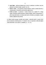 Referāts 'Tiešās atbildes reakcijas reklāma televīzijā', 22.