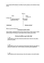 Konspekts 'Ieskats grāmatvedībā', 7.