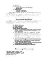 Konspekts 'Ieskats grāmatvedībā', 10.