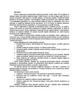 Referāts 'Uzņēmuma saimnieciskās darbības analīze', 3.