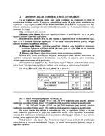 Referāts 'Uzņēmuma saimnieciskās darbības analīze', 19.