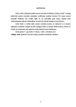 Referāts 'Rēzeknes pilsētas ainavas kvalitātes novērtējums Ziemeļu rajonā', 2.