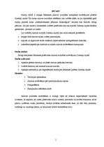 Referāts 'Rēzeknes pilsētas ainavas kvalitātes novērtējums Ziemeļu rajonā', 5.