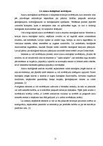 Referāts 'Rēzeknes pilsētas ainavas kvalitātes novērtējums Ziemeļu rajonā', 13.