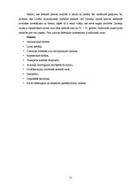 Referāts 'Rēzeknes pilsētas ainavas kvalitātes novērtējums Ziemeļu rajonā', 21.