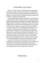 Referāts 'Regīnas Ezeras romāna "Aka" analīze', 8.