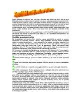 Referāts 'Sociālā sistēma, pamatīpašības un aspekti', 17.