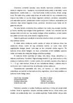 Referāts 'Referāts par rakstību Latvijas teritorijā pirms 13.gadsimta', 2.