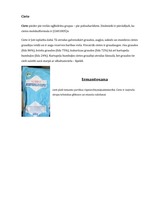 Konspekts 'Organiskās vielas manā mājā', 12.