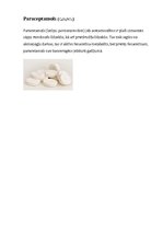 Konspekts 'Organiskās vielas manā mājā', 16.