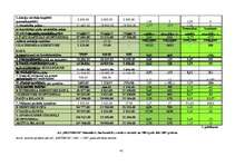 Referāts 'A/s "Bestbrok" finansiālā stāvokļa analīze', 41.