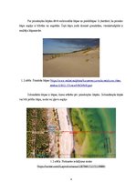 Referāts 'Otrās grupas ēku būvniecība kāpu zonā', 4.