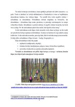 Referāts 'Otrās grupas ēku būvniecība kāpu zonā', 9.