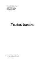 Konspekts 'Tautas bumba', 1.