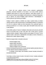 Referāts 'Vadības stratēģija', 2.