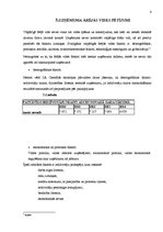 Referāts 'Vadības stratēģija', 6.