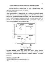 Referāts 'Vadības stratēģija', 11.
