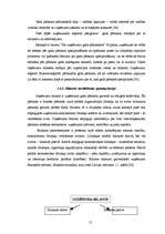 Diplomdarbs 'Gada pārskata sastādīšana, pārbaude un apstiprināšana SIA “X”', 15.