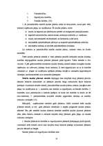 Diplomdarbs 'Gada pārskata sastādīšana, pārbaude un apstiprināšana SIA “X”', 19.