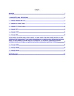 Referāts 'Datormācība ekonomistiem. Investīciju programmu novērtēšana ', 2.