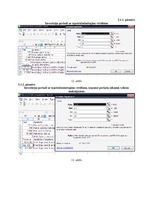 Referāts 'Datormācība ekonomistiem. Investīciju programmu novērtēšana ', 25.