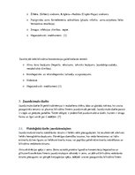 Referāts 'Bilirubīna metabolisms un neirotoksicitāte jaundzimušajiem', 4.