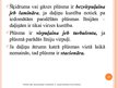 Prezentācija 'Hidrostatiskais spiediens šķidrumā un spiediens šķidruma un gāzes plūsmā', 13.