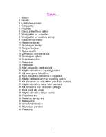 Referāts 'Lidmašīnas', 1.