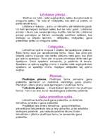 Referāts 'Lidmašīnas', 3.