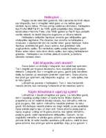 Referāts 'Lidmašīnas', 8.