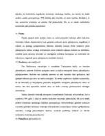 Referāts 'Oligopols', 15.