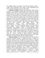 Referāts 'Oligopols', 17.