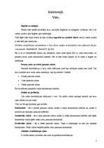 Konspekts 'Globalizācija. Globāla stratifikācija. Iedzīvotāji. Vide', 2.