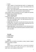 Konspekts 'Globalizācija. Globāla stratifikācija. Iedzīvotāji. Vide', 3.