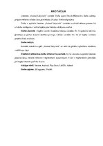 Referāts 'Lietotnes "Animal Labyrinth" izstrāde', 2.