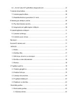 Referāts 'Lietotnes "Animal Labyrinth" izstrāde', 6.