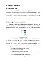 Referāts 'Lietotnes "Animal Labyrinth" izstrāde', 13.